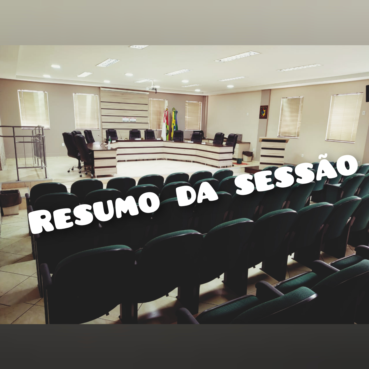 NONA SESSÃO ORDINÁRIA, REALIZADA NO DIA 12 DE ABRIL DE 2021.