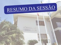 RESUMO DA DÉCIMA SEGUNDA SESSÃO ORDINÁRIA