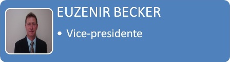 Vice Presidente Euzenir